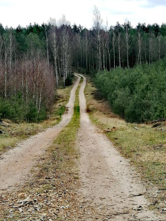 Wodamoja - Nad Jeziorem Stawiguda