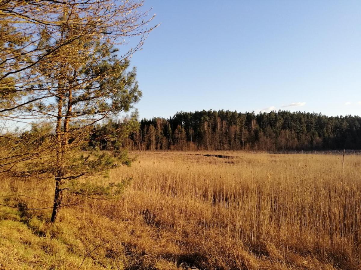 Wodamoja - Nad Jeziorem Stawiguda