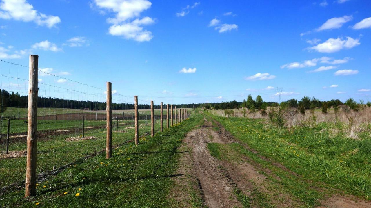 Wodamoja - Nad Jeziorem * Stawiguda